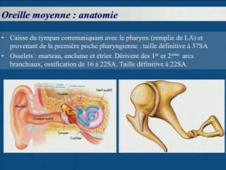 Le rocher du foetus : un sommet insurmontable ?
