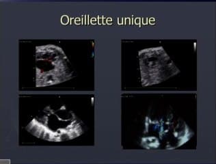 Dossiers des cardio-pédiatres