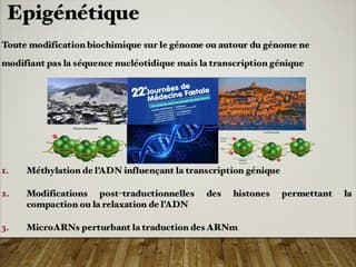 LES MODIFICATIONS ÉPIGÉNÉTIQUES CONSÉCUTIVES À L’ALCOOLISATION FOETALE : NATURE ET CONSÉQUENCES