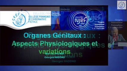 Organes génitaux : aspects physiologiques et variations
