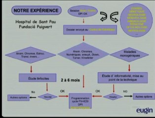 Le DPI actuellement en Espagne