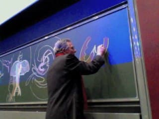 anatomie du coeur au 1 er trim