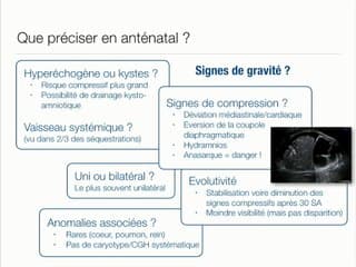 Pathologies intrathoraciques qui ne_cessiteront une PEC en urgence à la naissance