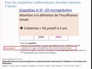 Néphropathies: prise en charge néphro-pédiatrique