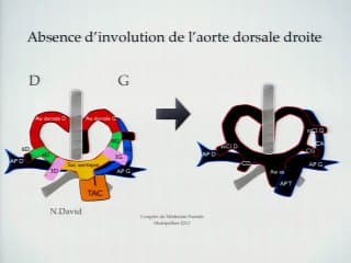 Si vous (me) cherchez des crosses .....