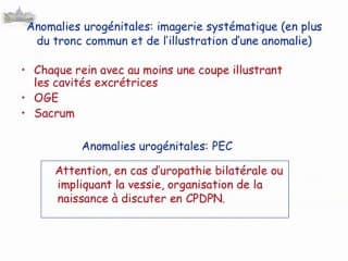 Contenu des comptes rendus de l’échographie dite « de diagnostic »