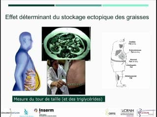 L'obésité. Où en sommes-nous en 2014?