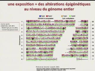 Epigénétique et croissance foetale.