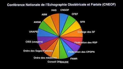 Les recommandations de la CNEOF
