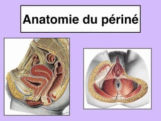 Incontinence urinaire d'effort ? Echographie pré- et postopératoire