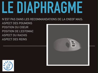 POSTER Diaphragme