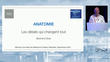 Anatomie cardiaque : les détails qui font toute la différence