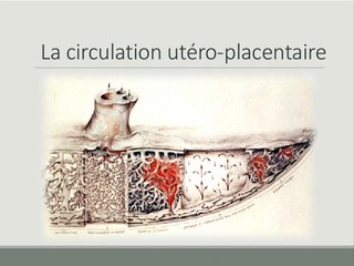 retard de croissance intra utérin : défiétiologies du rciunition et epidémiologie