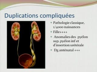 Corrélations anté et post-natales : à propos de quelques diagnostics inattendus.