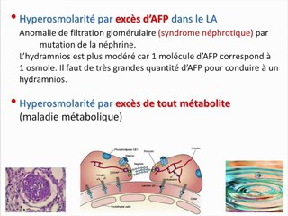 BILAN EN CAS D’HYDRAMNIOS À PROPOS DE 700 CAS
