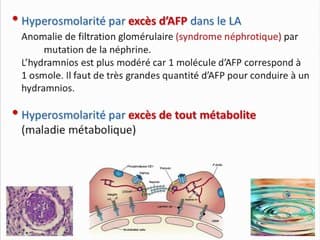 BILAN EN CAS D’HYDRAMNIOS À PROPOS DE 700 CAS