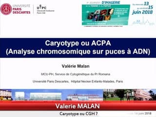 Dépistage des anomalies chromosomiques et des anomalies associées I) Choix et stratégies › Caryotype ou CGH ?