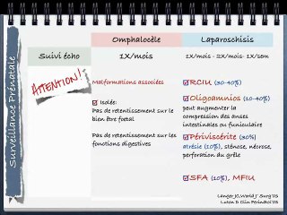 1er trimestre Laparoschisis et Omphalocèle