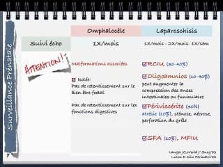 1er trimestre Laparoschisis et Omphalocèle
