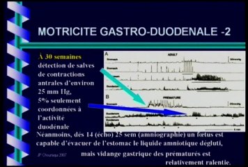 Physiologie de la motricité digestive foetale
