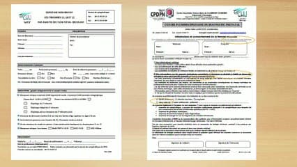 Mise en place et premières expériences du TGNI de la T21 dans le Réseau de santé Périnatale d’Auvergne.