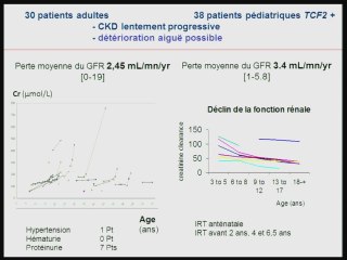 La pathologie liée à HNF1 Beta : du prénatal aux interrogations post-natales.
