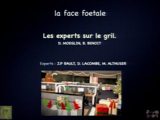 Le visage foetal : Les experts sur le gril.