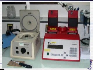 Risques, avantages, inconvénients comparés du prélèvement de villosités choriales / amniocentèse. Vers un screening rapide des anomalies chromosomiques