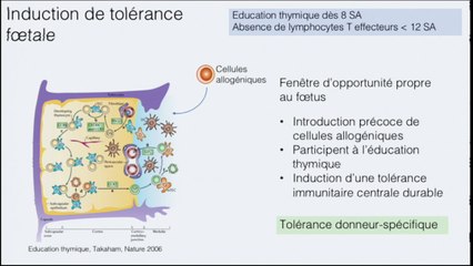 Objectifs, rationnel et développement d’une thérapie cellulaire prénatale.