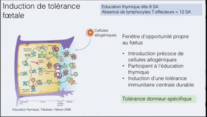 Objectifs, rationnel et développement d’une thérapie cellulaire prénatale.