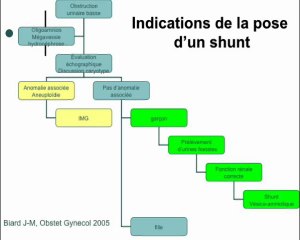 Predictivité de la fonction renale en antenatal