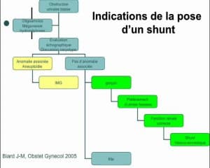 Predictivité de la fonction renale en antenatal