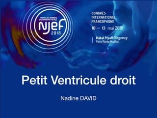 Coeur foetal I : c’est trop petit ! Petit ventricule droit