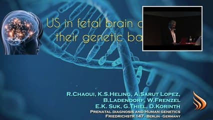 le cerveau aux trois trimestres