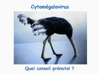 Conséquences des pathologies infectieuses au premier trimestre et sur les biométries et annexes