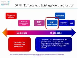 Dépistage non invasif de la trisomie 21. Quelle place dans le dépistage échographique actuel ?